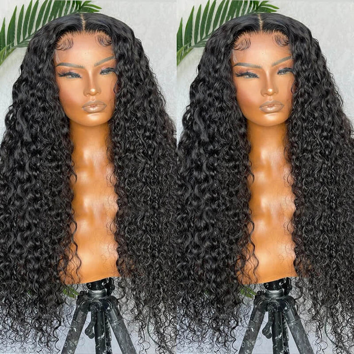 $99=24inch(No Code Needed)| eullair Straight/Body Wave/Curly Human Hair 5x5 Lace Closure Wig
