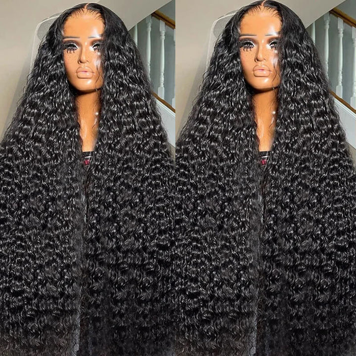 eullair 4x4 HD Transparent Lace Closure Wig Best Human Hair Wigs For Women All Textures 12-30