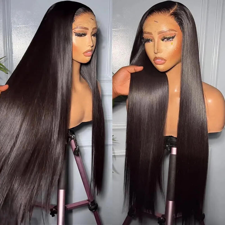 eullair 4x4 HD Transparent Lace Closure Wig Best Human Hair Wigs For Women All Textures 12-30