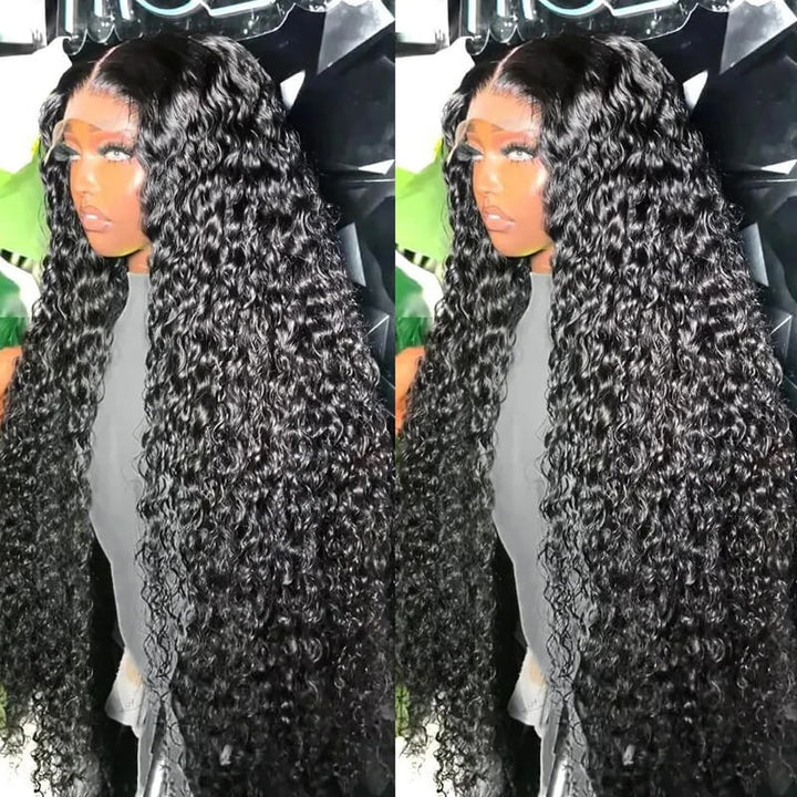 eullair 4x4 HD Transparent Lace Closure Wig Best Human Hair Wigs For Women All Textures 12-30