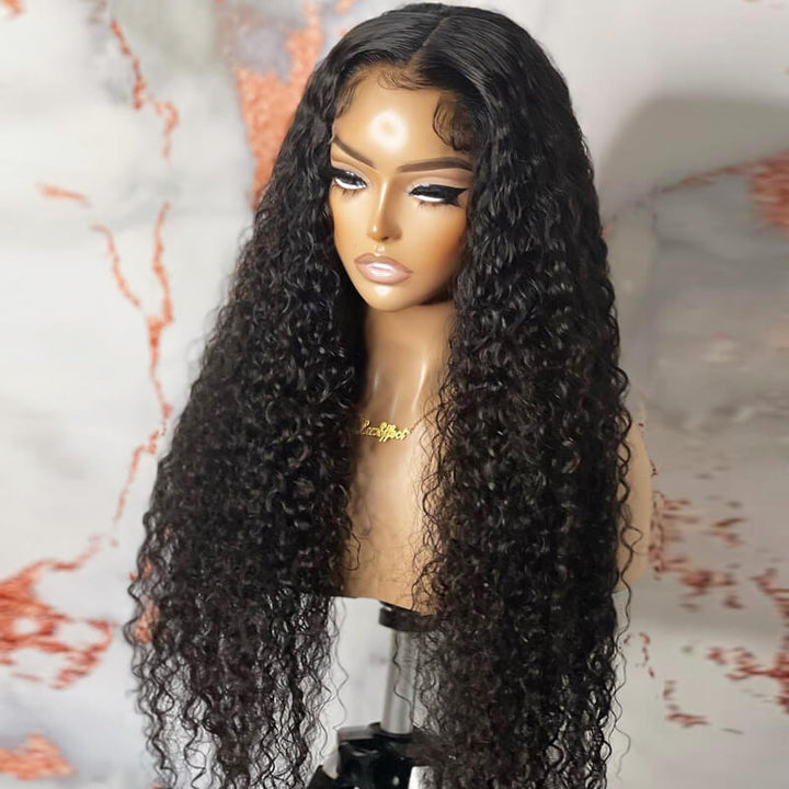 eullair 4x4 HD Transparent Lace Closure Wig Best Human Hair Wigs For Women All Textures 12-30