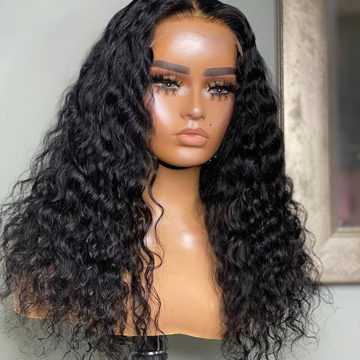 eullair 4x4 HD Transparent Lace Closure Wig Best Human Hair Wigs For Women All Textures 12-30