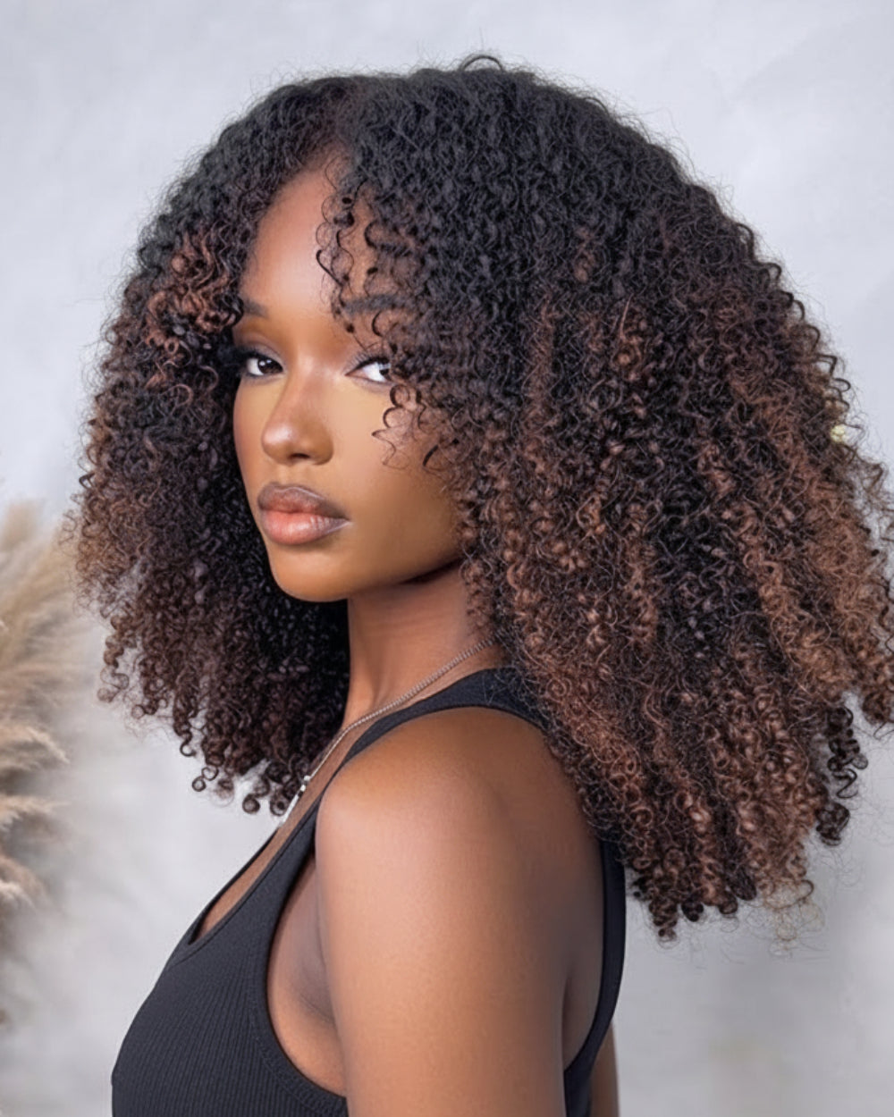 eullair Ombre Cholocate Brown Color Curly No Leave Out V Part Wig Soft Full Volume Human Hair Easy Natural Blend
