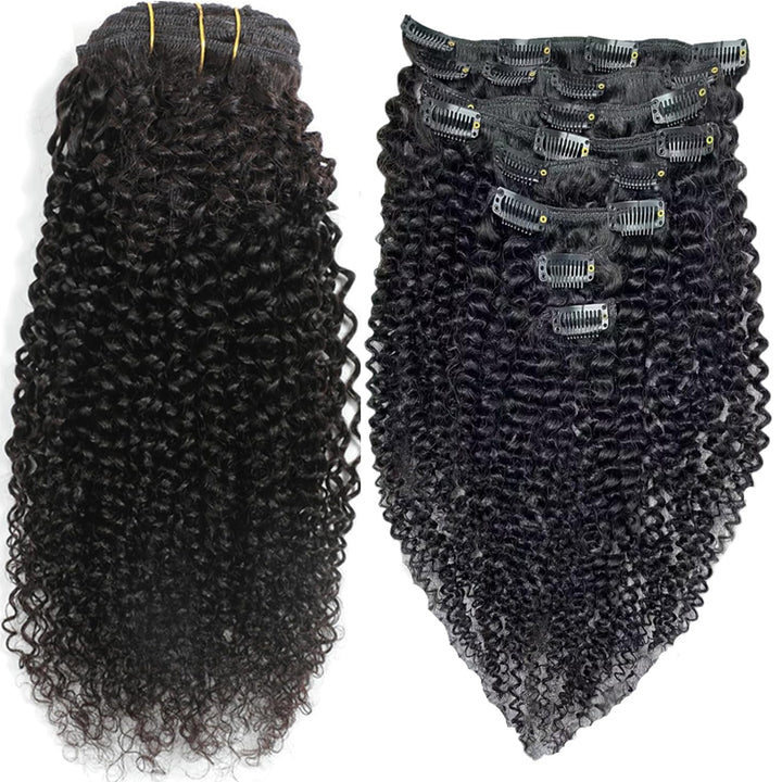 eullair Kinky Curly Clip in Hair Extensions 100% Real Remy Human Hair Extension for Black Women Natural Color 8PCS per Set With 20 Clips Double Weft 120gram