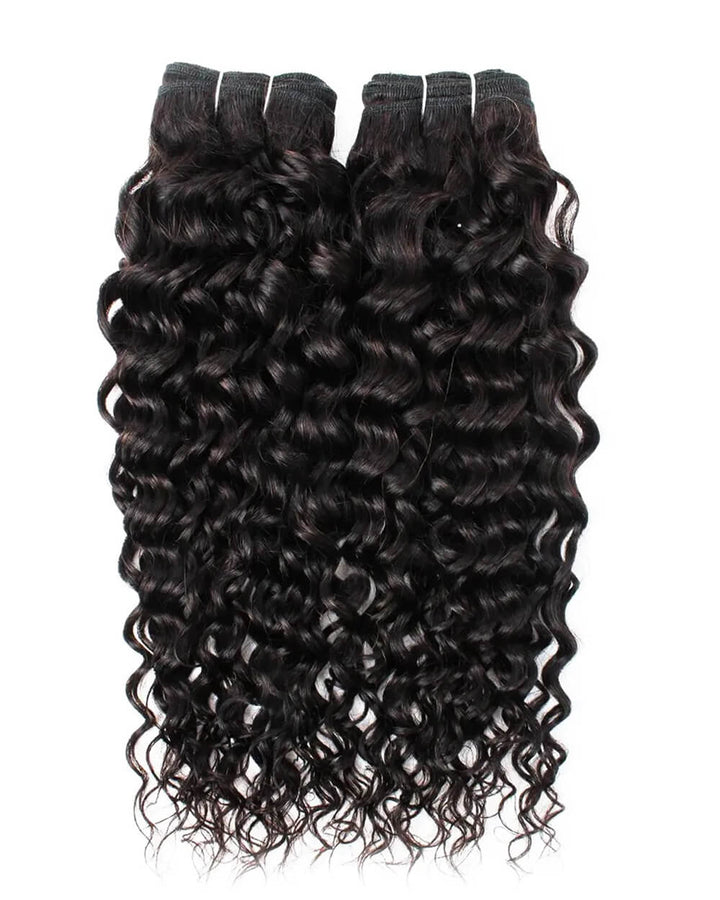 eullair Water Wave Bundles with 2x6 Closure - Pre-plucked Natural Hairline Invisible Swiss Lace Human Hair