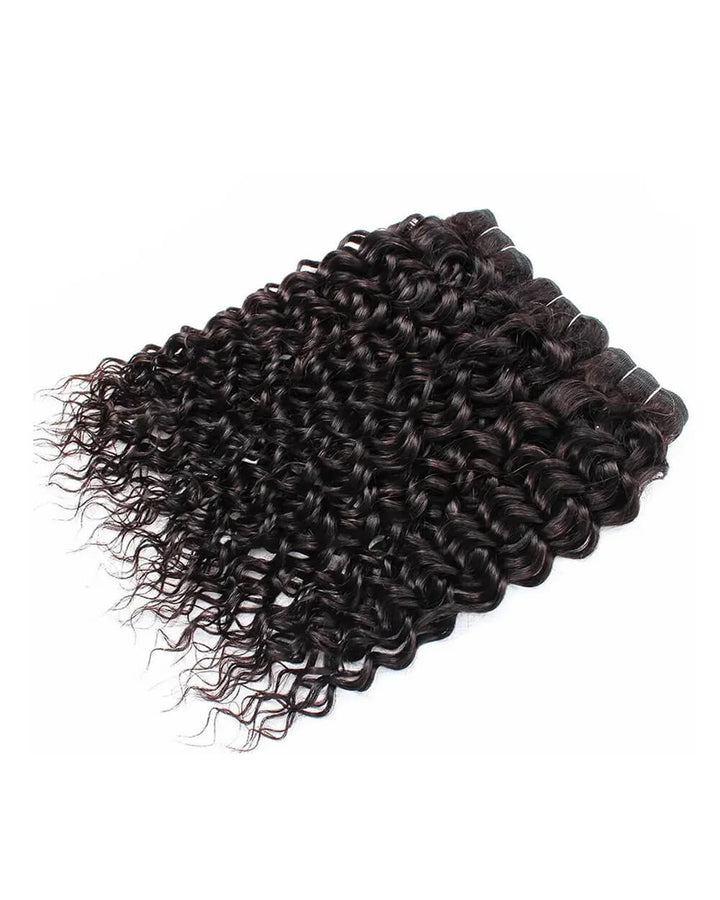 eullair Water Wave Bundles with 2x6 Closure - Pre-plucked Natural Hairline Invisible Swiss Lace Human Hair