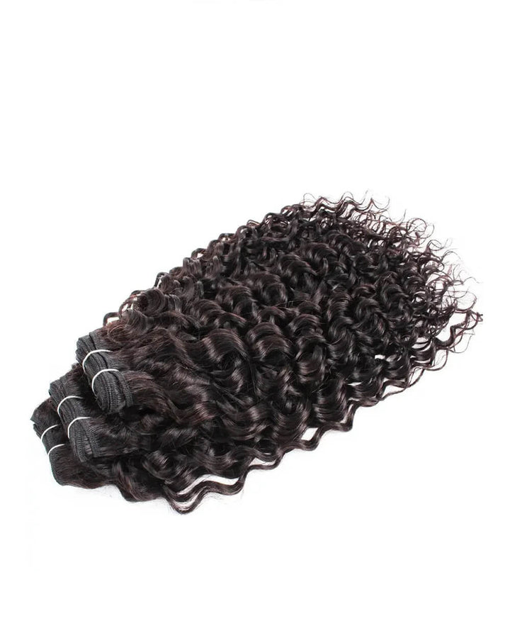 eullair Water Wave Bundles with 2x6 Closure - Pre-plucked Natural Hairline Invisible Swiss Lace Human Hair