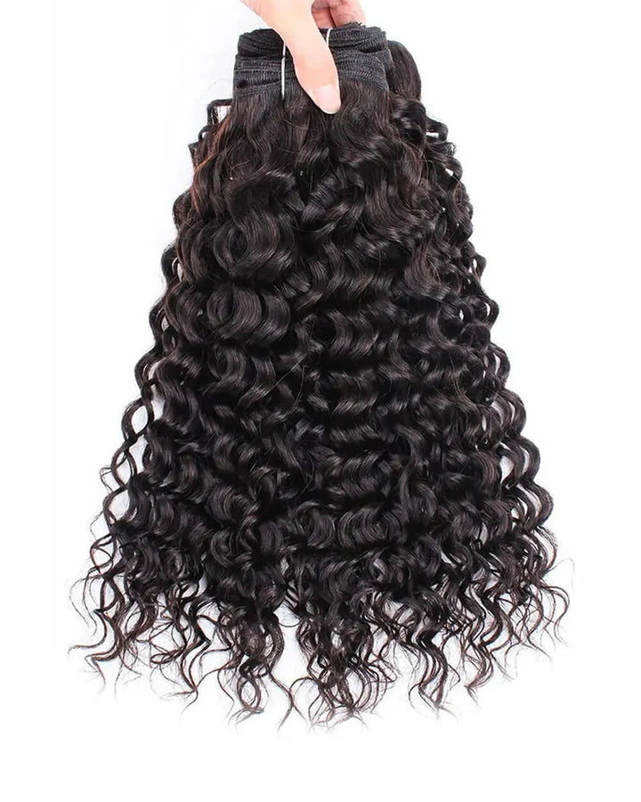 eullair Water Wave Bundles with 2x6 Closure - Pre-plucked Natural Hairline Invisible Swiss Lace Human Hair