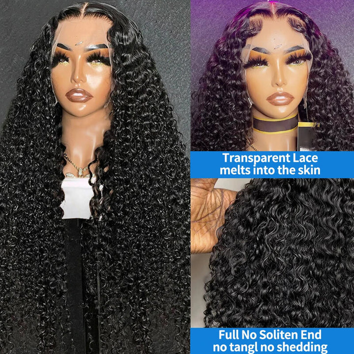eullair Voluminous Sleek Tangle-free Kinky Curly Lace Frontal Wig | Invisible Lace