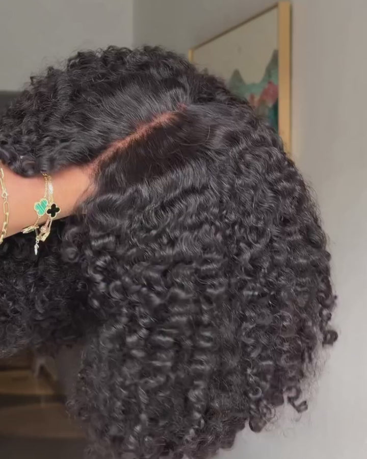 eullair Small Burmese Curly 4x6 Lace Glueless Wig with Finger Coil Ends Put On & Go Human Hair Wig